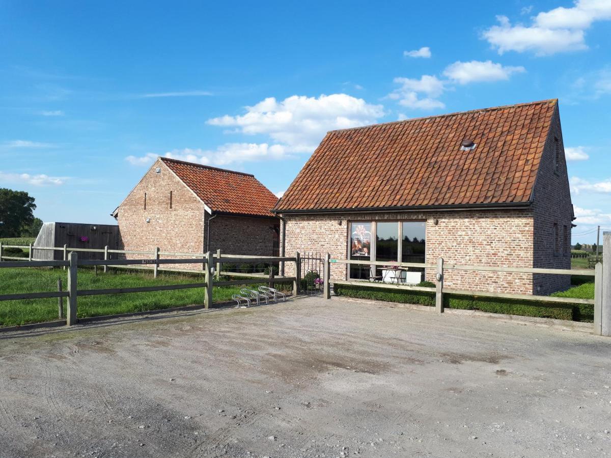 B&B 'T Hoveke Wingene Exteriör bild