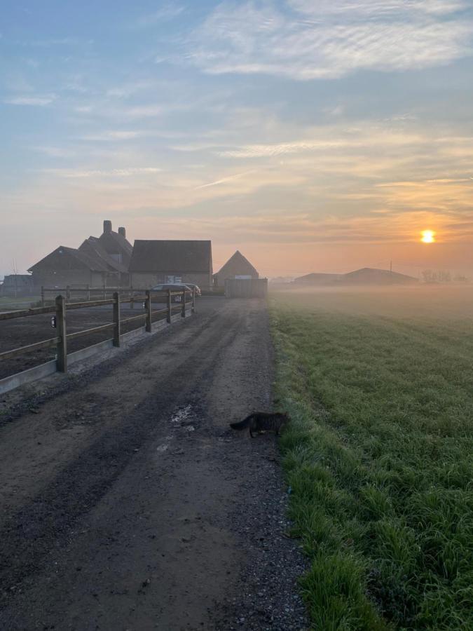 B&B 'T Hoveke Wingene Exteriör bild